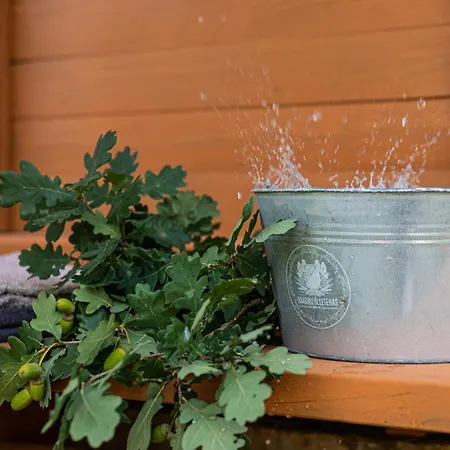 Kemping Moisa Saunakuela *