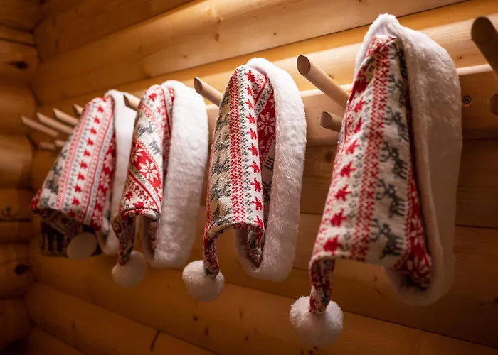 Moisa Saunakuela 营地 *