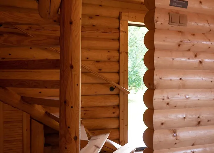 营地 Moisa Saunakuela