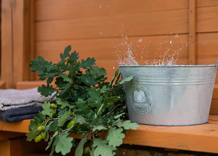 营地 Moisa Saunakuela *