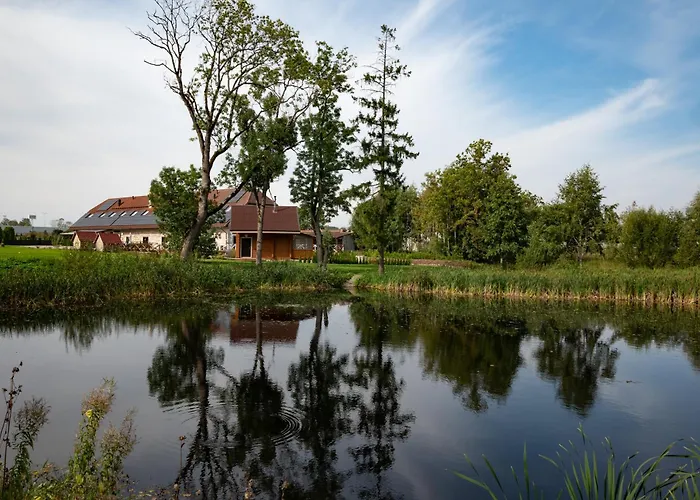 营地 Moisa Saunakuela *